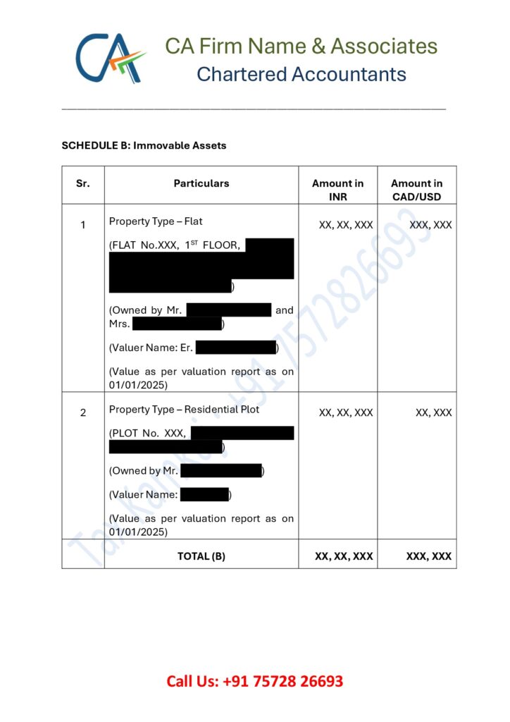 Immovable property details in net worth statement format